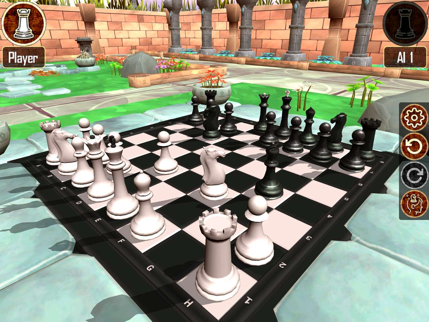 Warrior Chess | New Location | Country Garden